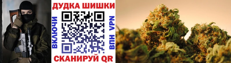 Где купить наркотики Шагонар mega ССЫЛКА  COCAIN  ГАШ  Мефедрон  МАРИХУАНА  Альфа ПВП 