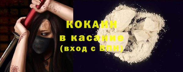 не бодяженный Гусев