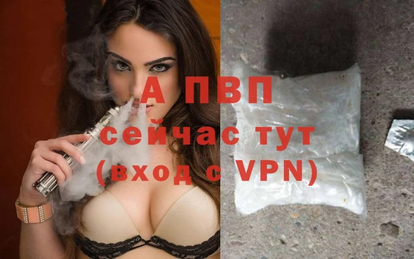 не бодяженный Гусев
