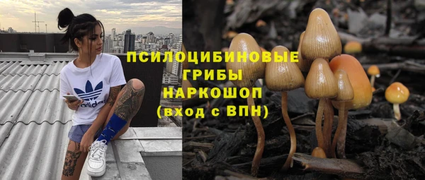 не бодяженный Гусев