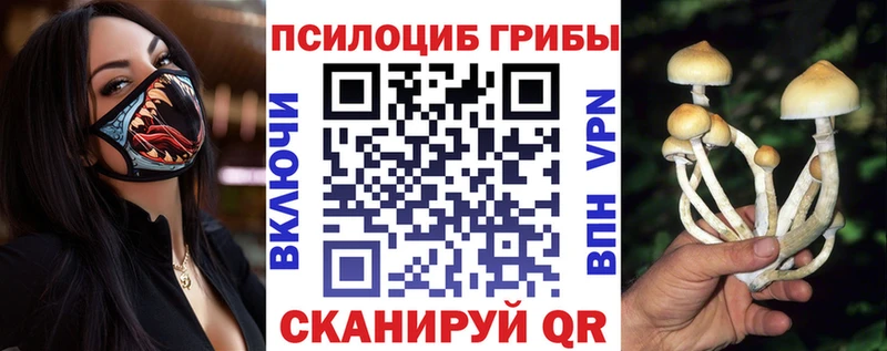 Псилоцибиновые грибы GOLDEN TEACHER  Шагонар 